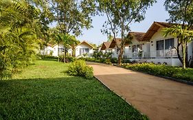 White Wood Resort By Stone Wood Hotels